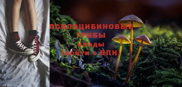 винт Алексин