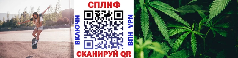мега сайт  закладки  Сим  Марихуана семена 